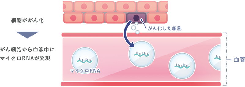 マイクロRNAイメージ画像