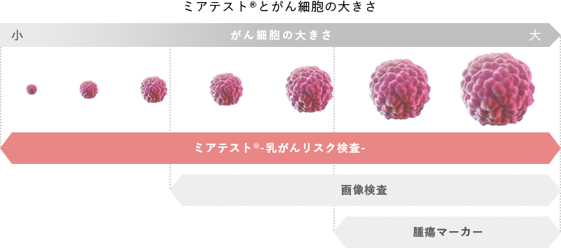 がん細胞の大きさ 比較画像