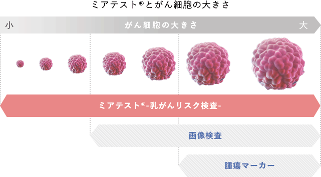 がん細胞の大きさ 比較画像